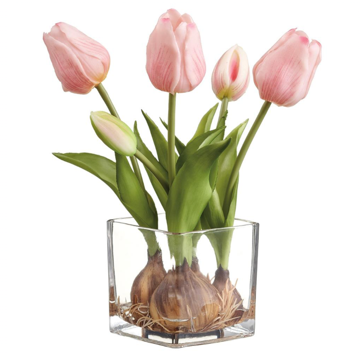 Tulip With Bulb In Glass Vase