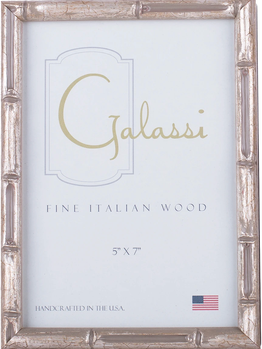 Silver Bamboo Picture Frame