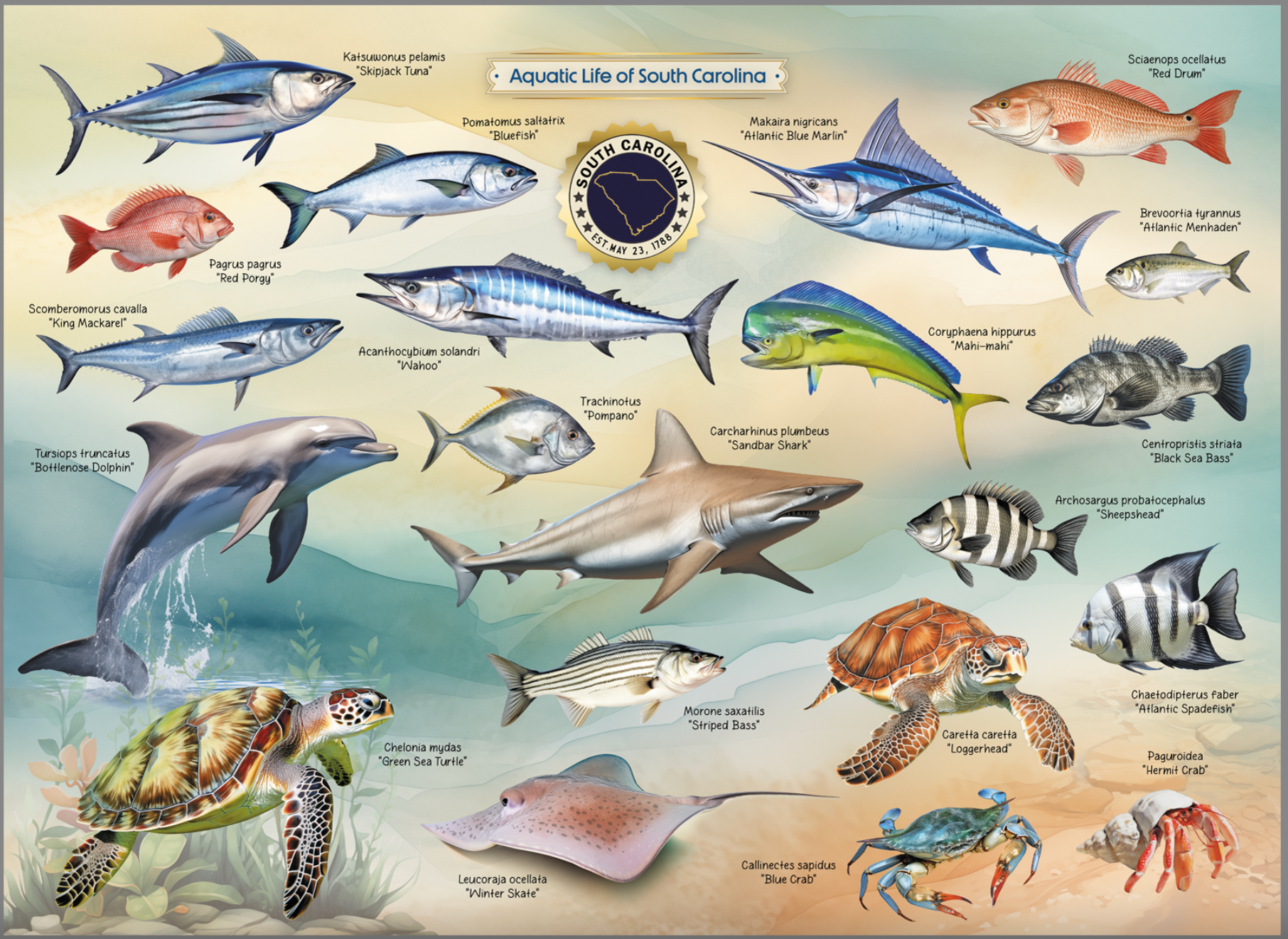 Aquatic Life of South Carolina Jigsaw Puzzle