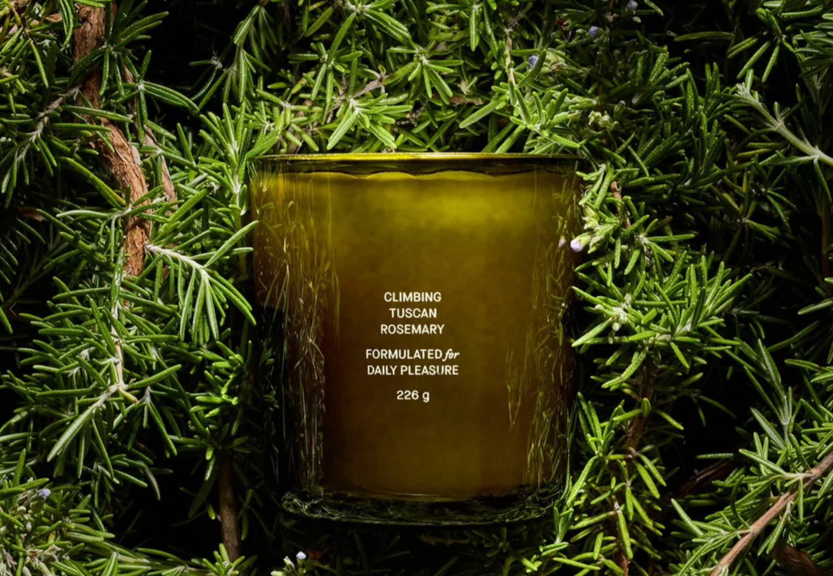 Climbing Tuscan Rosemary Candle