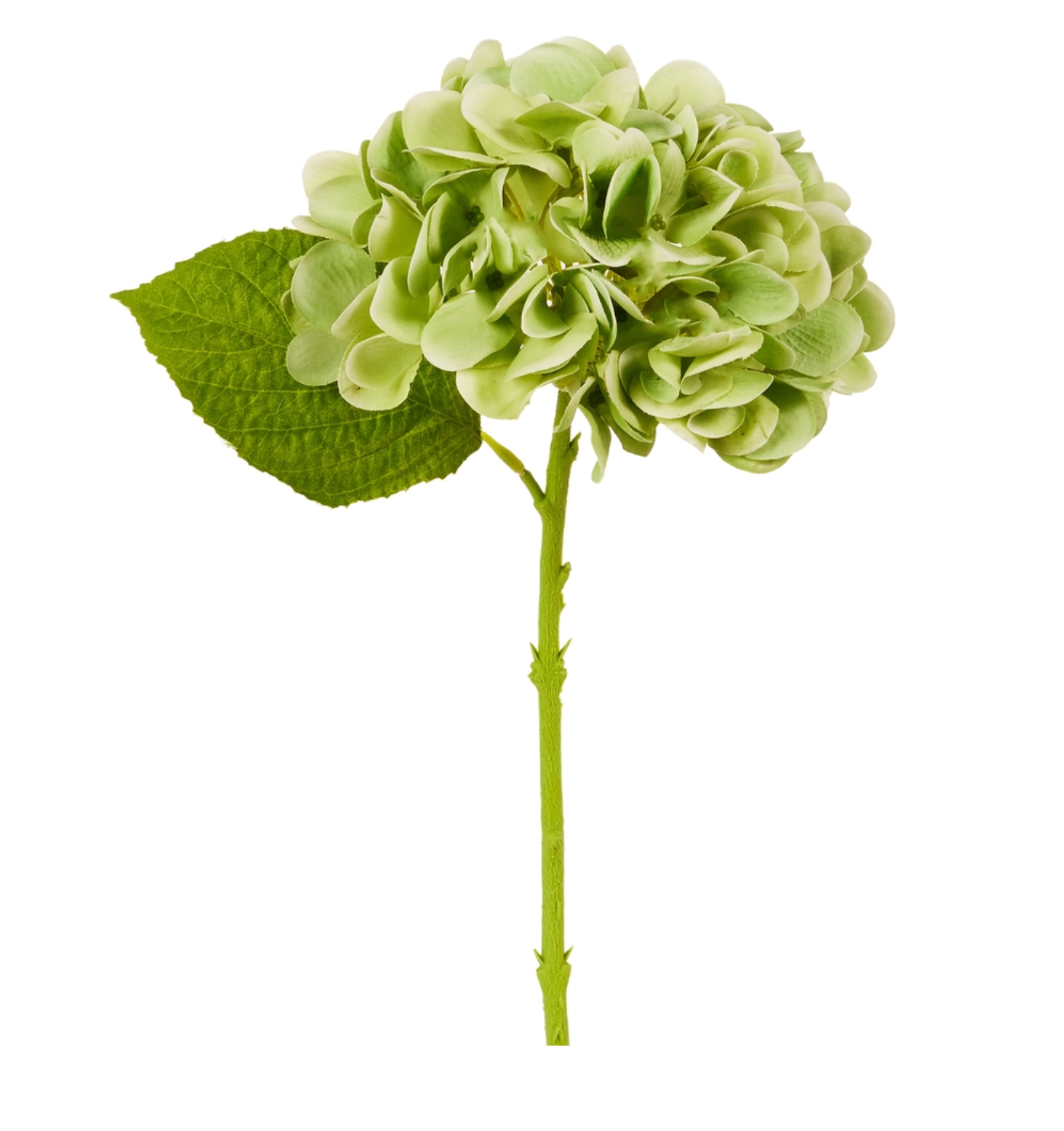 Real Touch Green Hydrangea Stem