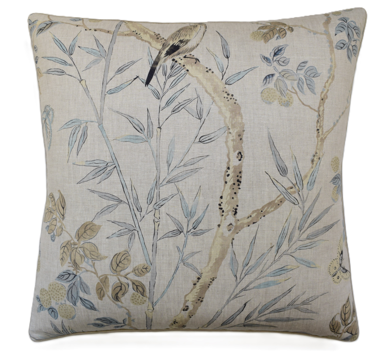 Claire Pillow