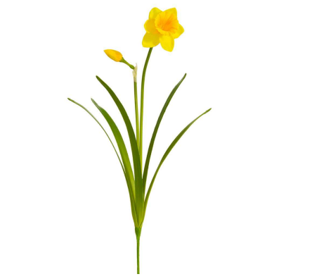 19" Daffodil Spray