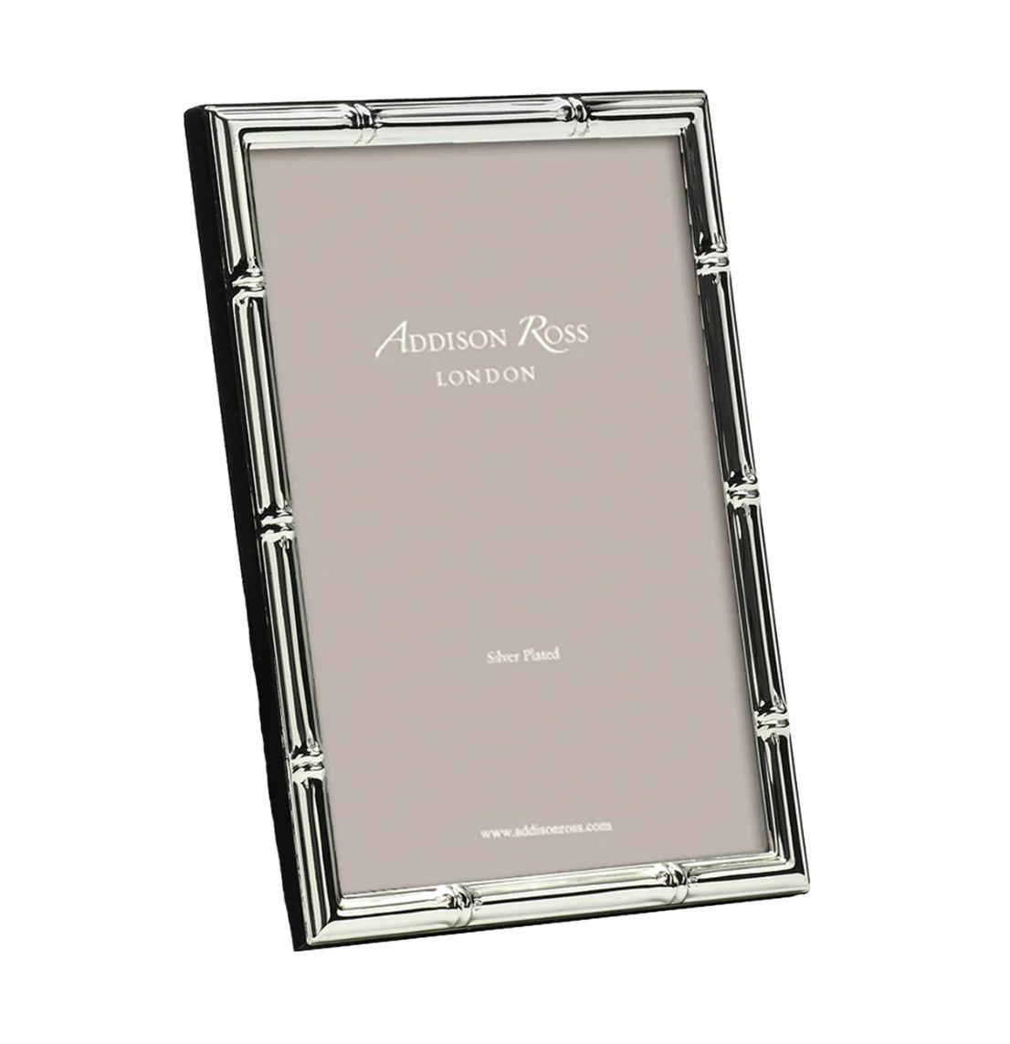 Bamboo Silver Plated Frame