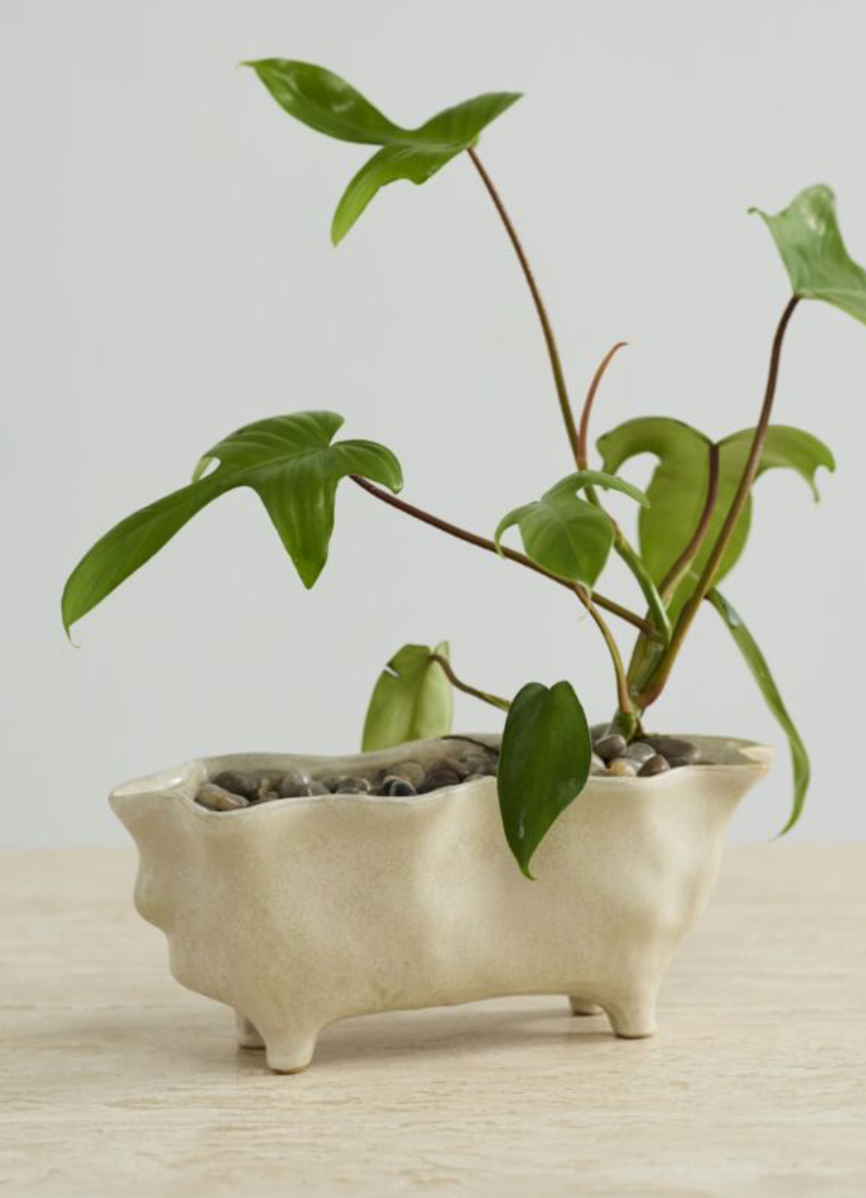 Glasgow Planter