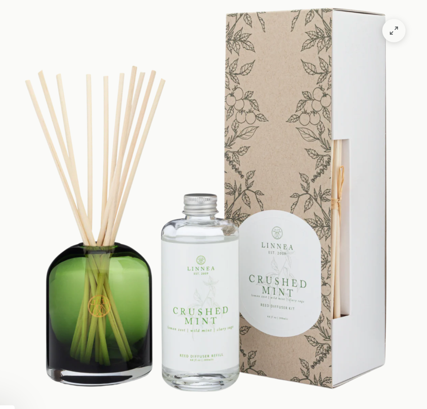 Crushed Mint Reed Diffuser Kit