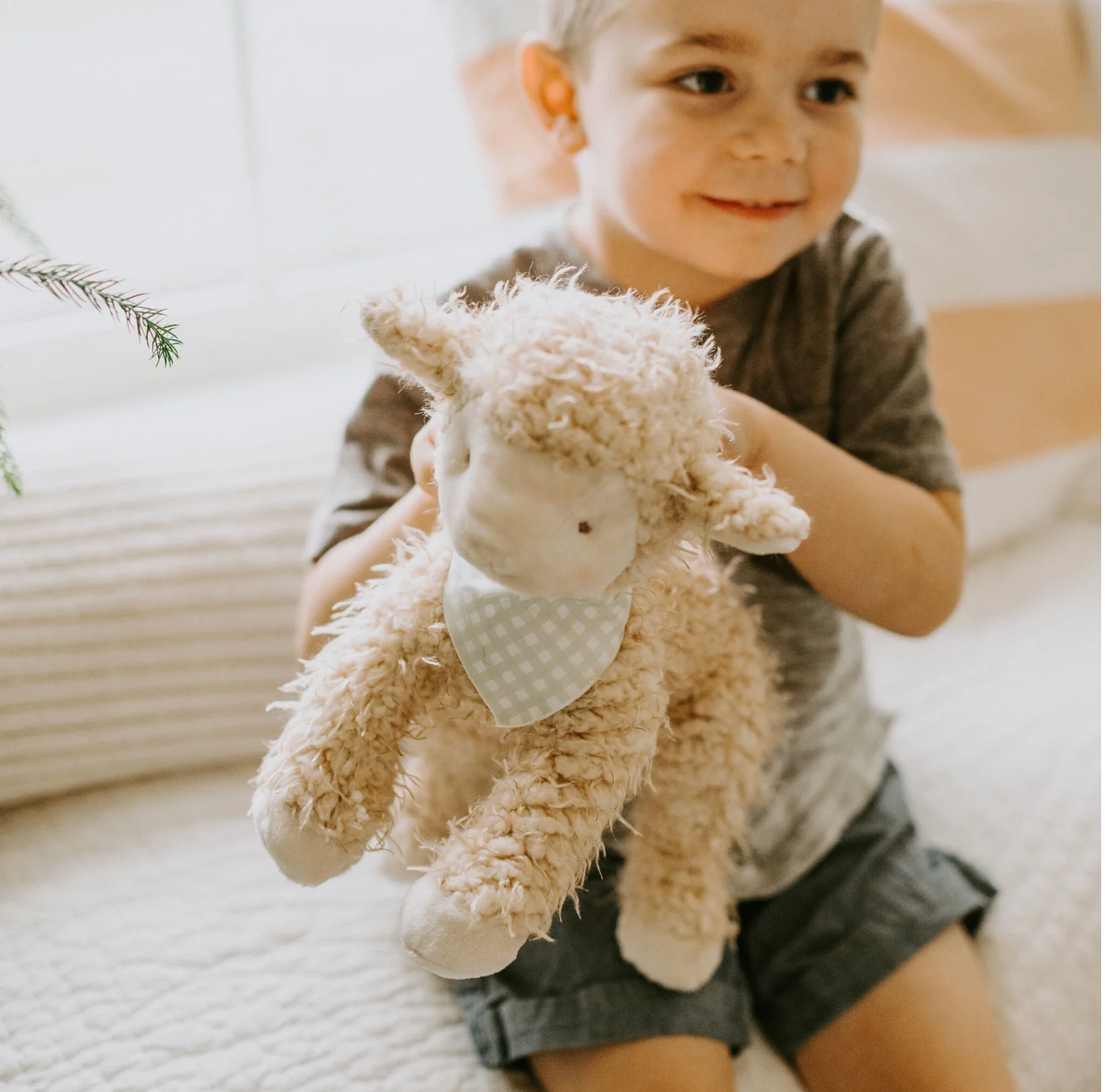Shep the Sheep