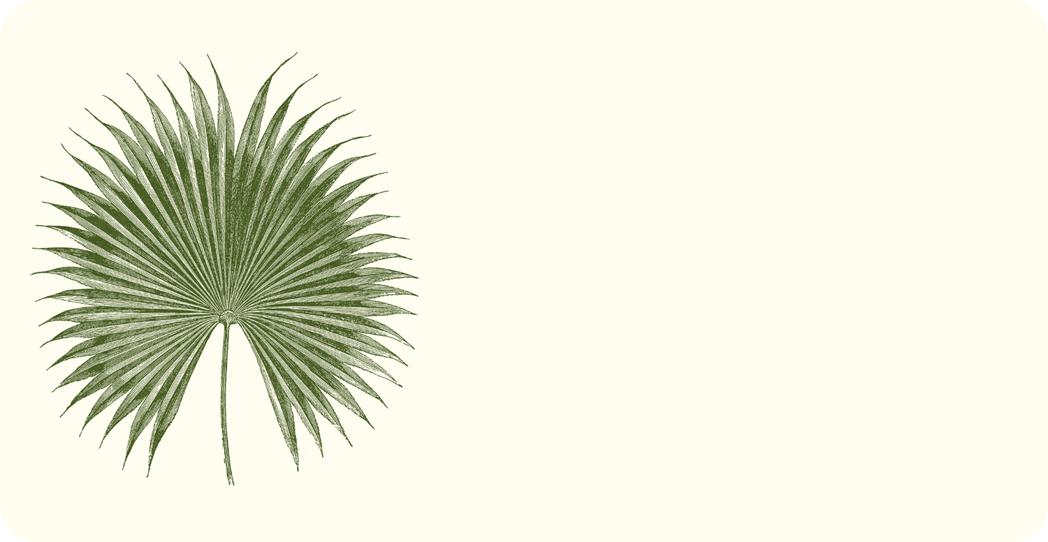 Palm Monarch Notes