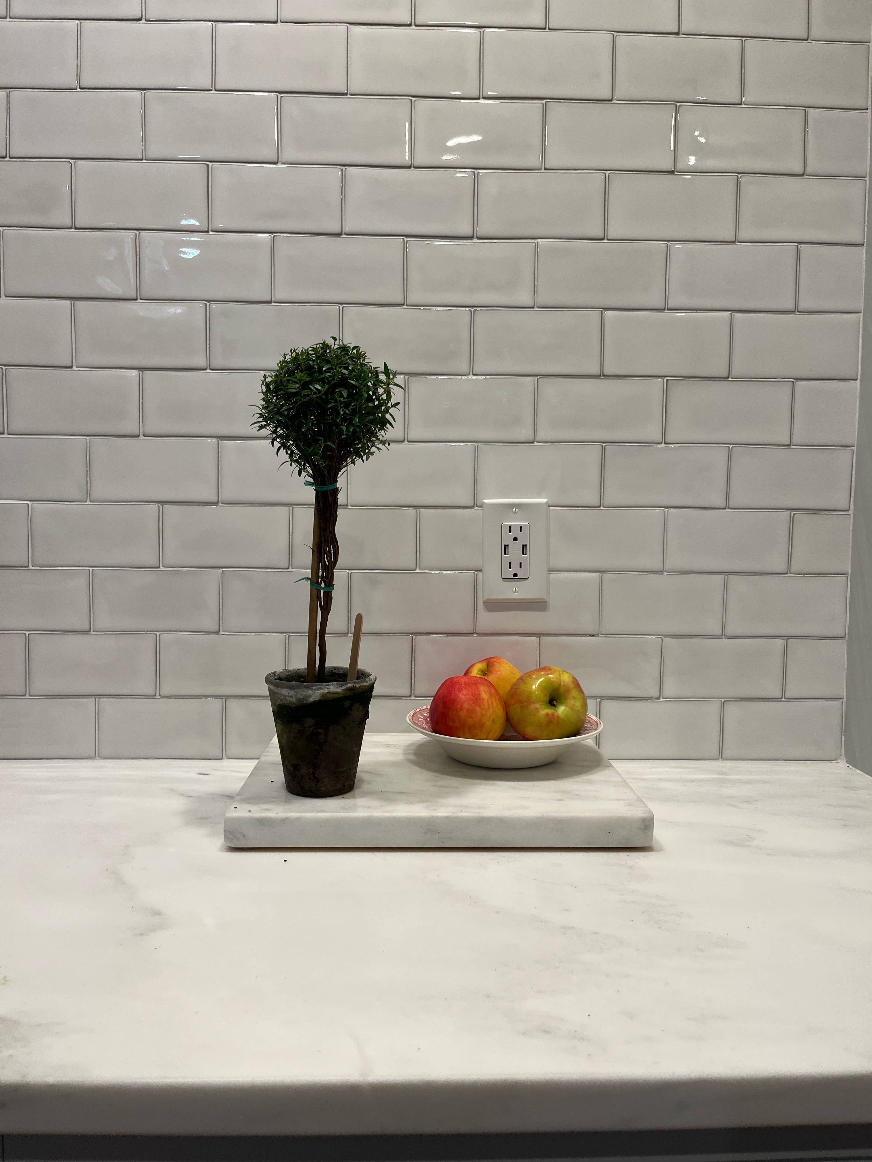 Live Single Ball Myrtle Topiary in 4 inch Pot