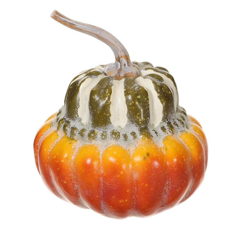 Acorn Squash Green Orange