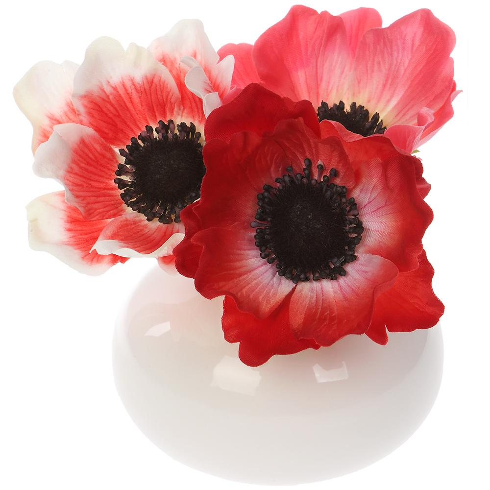 5" Anemone in Ceramic Vase
