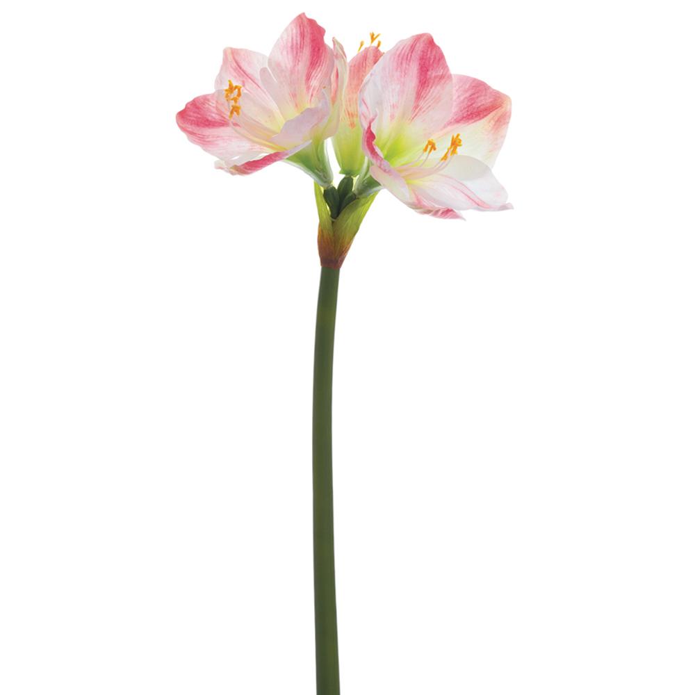 26" Amaryllis Spray White Pink