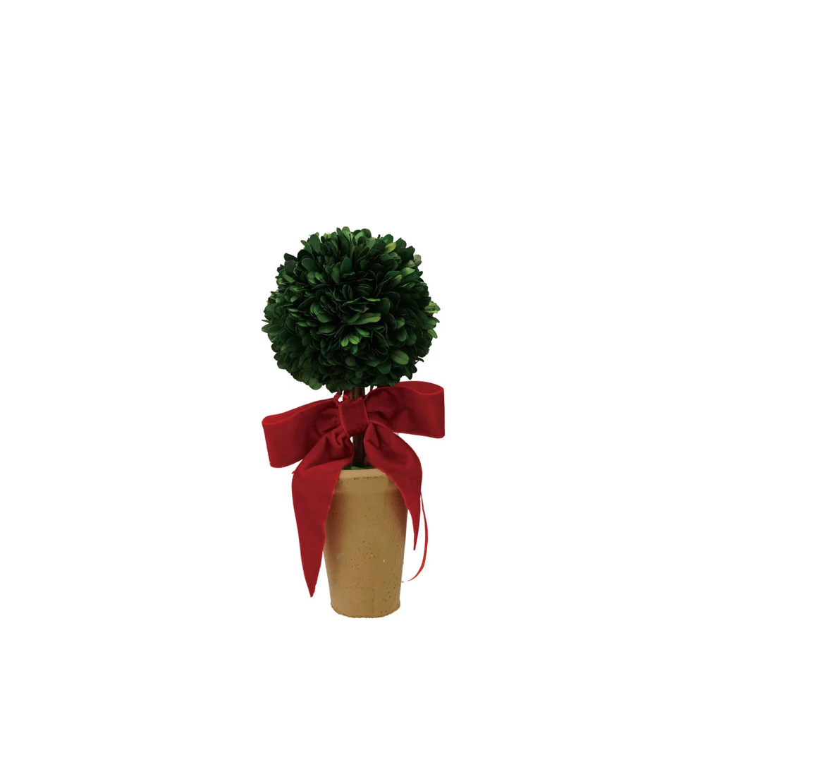 Dried Boxwood Tree with Red Velvet Bow