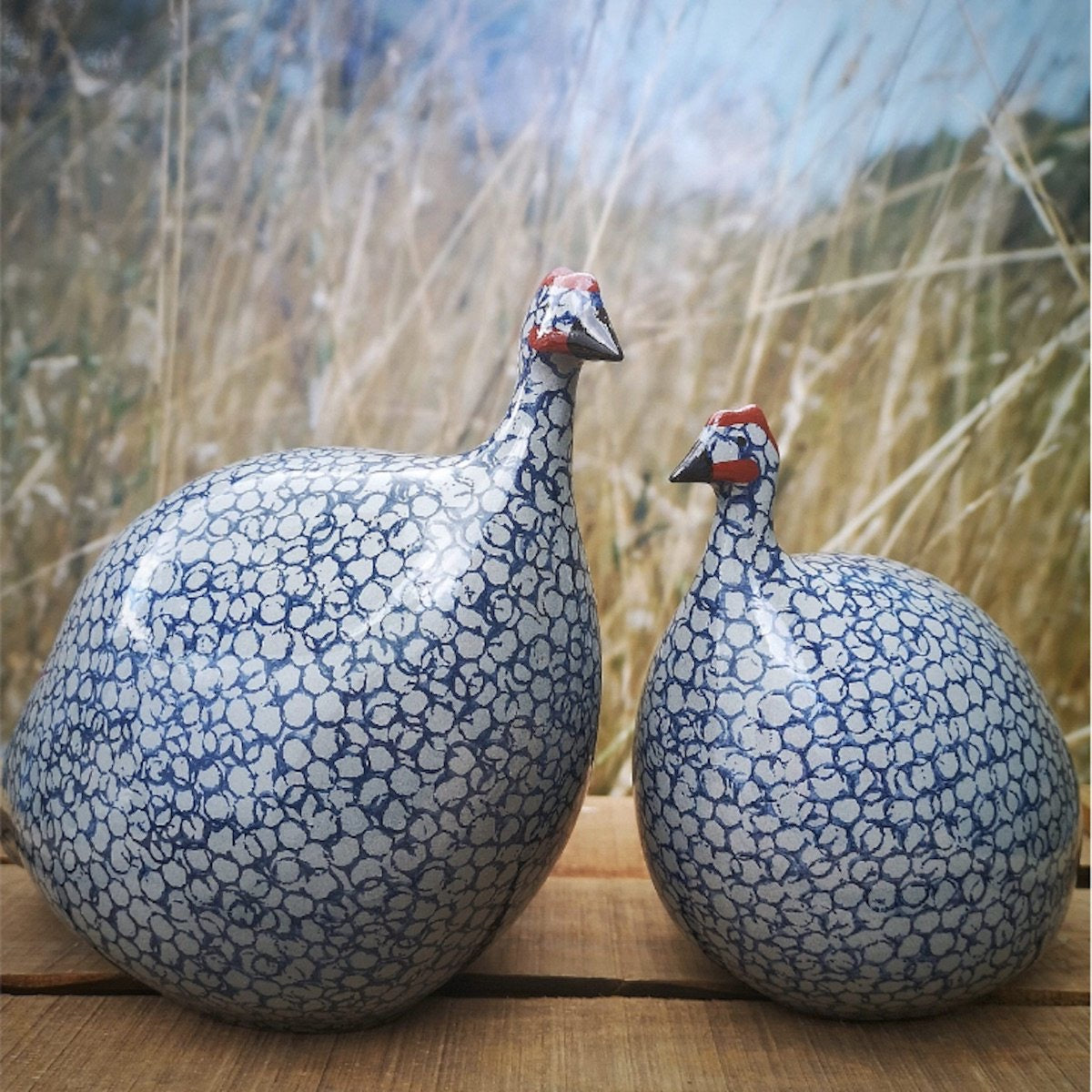 Guinea Fowl White Spotted Cobalt