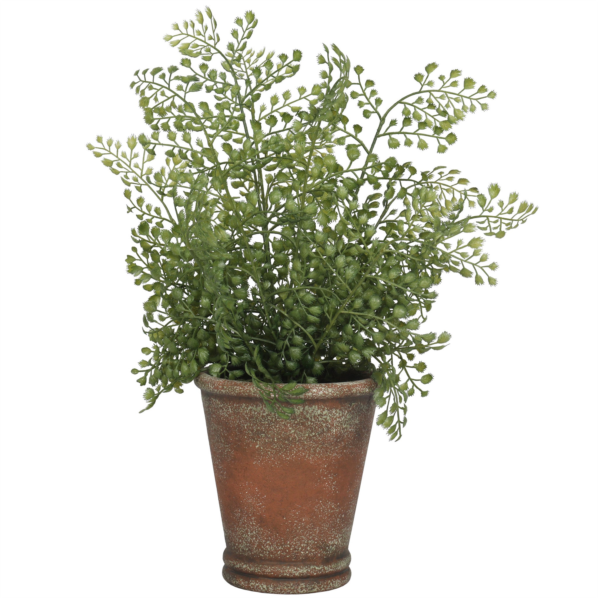 Mills Floral Maidenhair Fern 16" Plant- Artificial