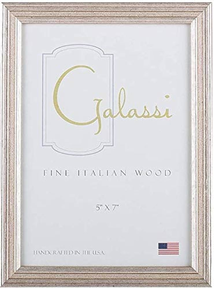 Galassi Silver Fern Picture Frame
