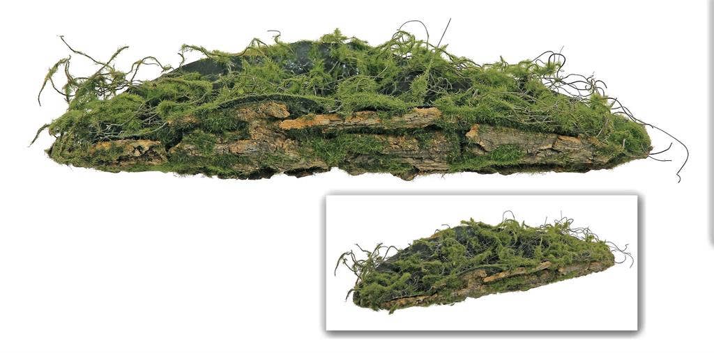 Tree Fern Bark, Sm., 18", Dark Brown/Green