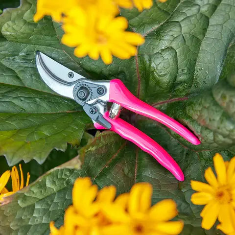 Pink Garden Clippers