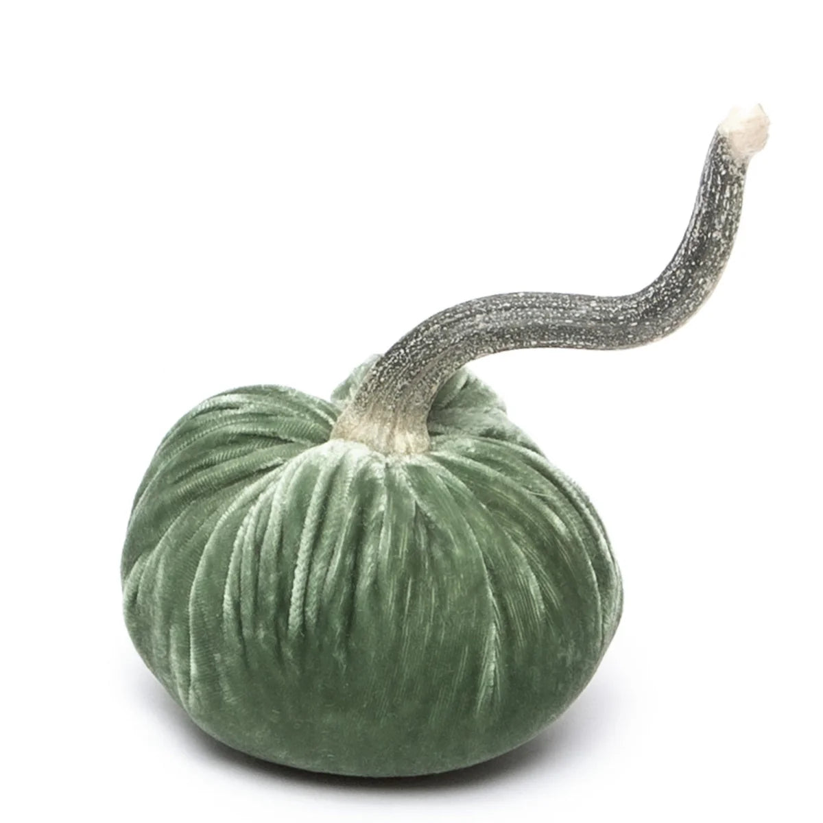 Velvet Pumpkins