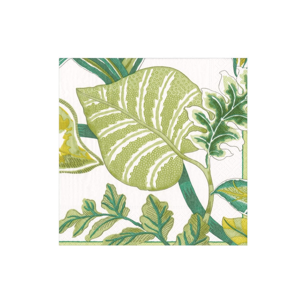 Florida Ivory Napkins