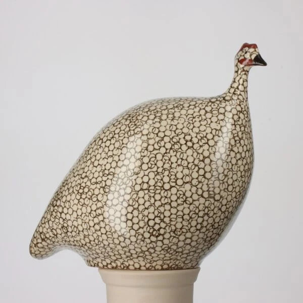 White Spotted Black Guinea Fowl