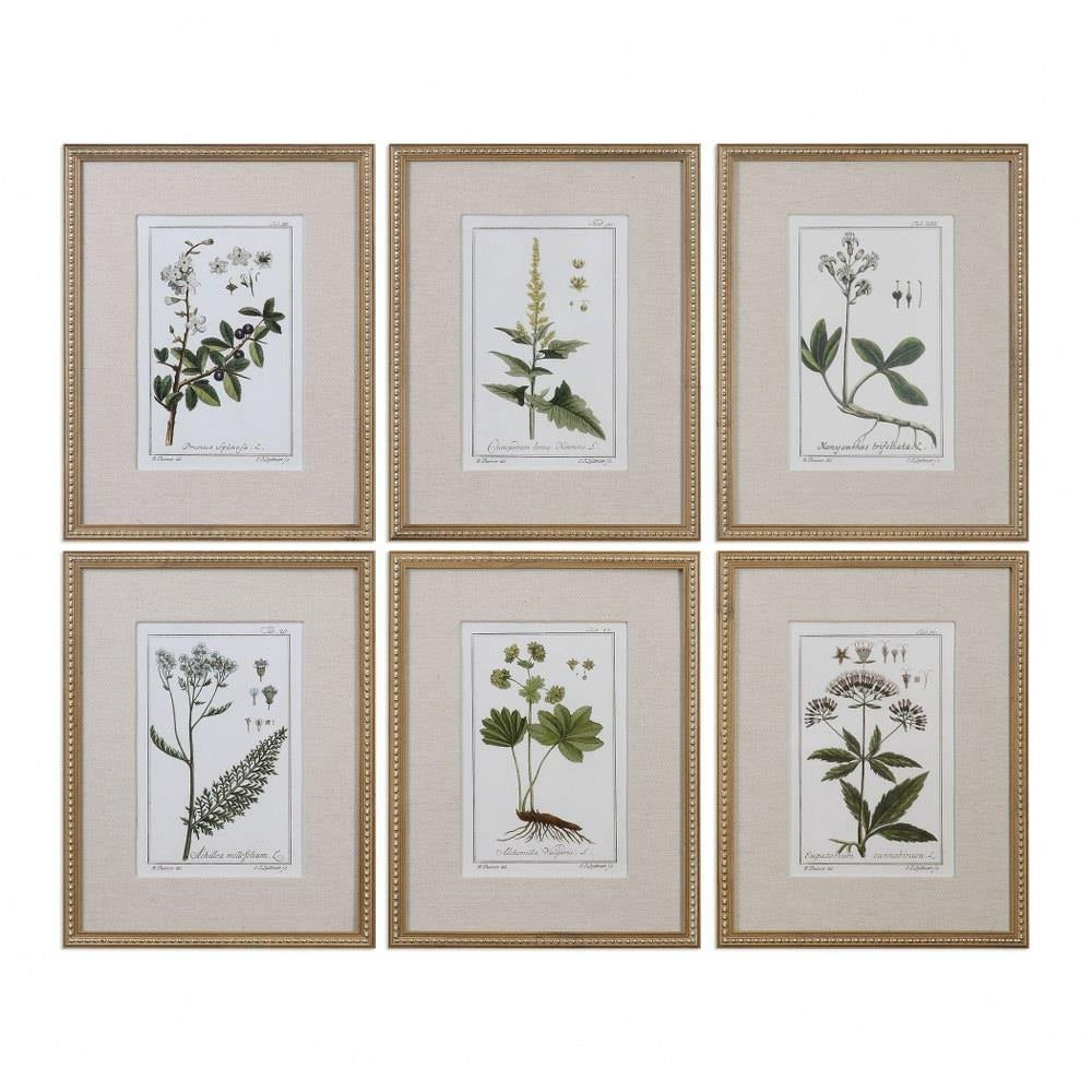 Green Botanical Floral