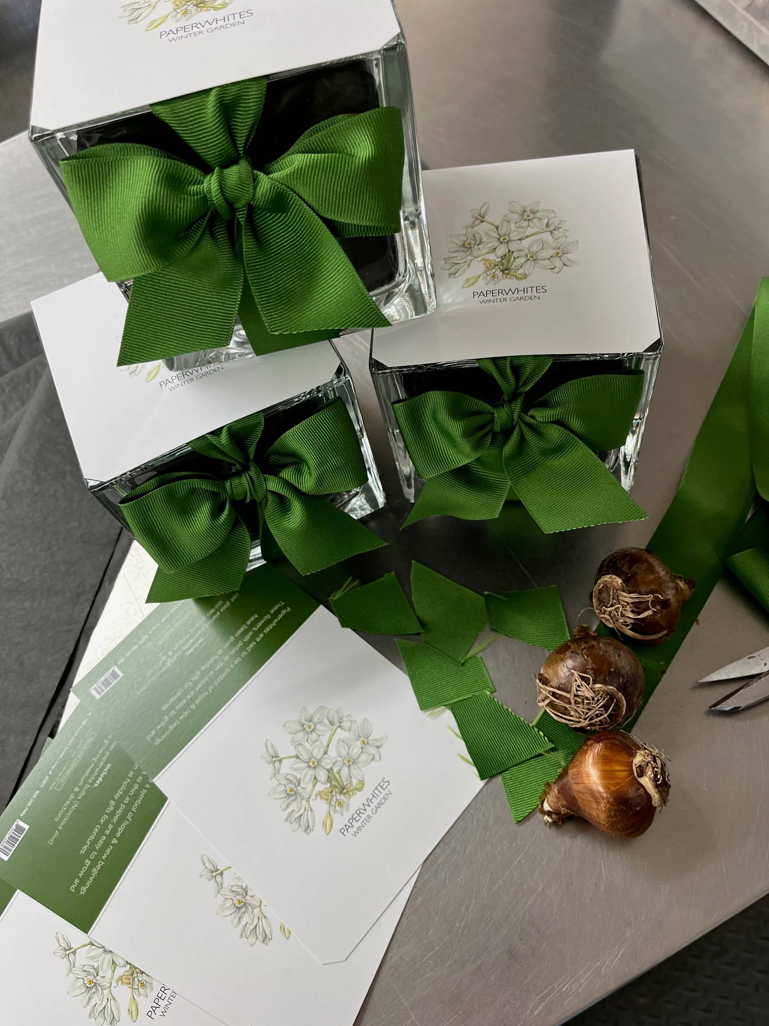Paperwhites Winter Garden | Christmas gift | Best Seller
