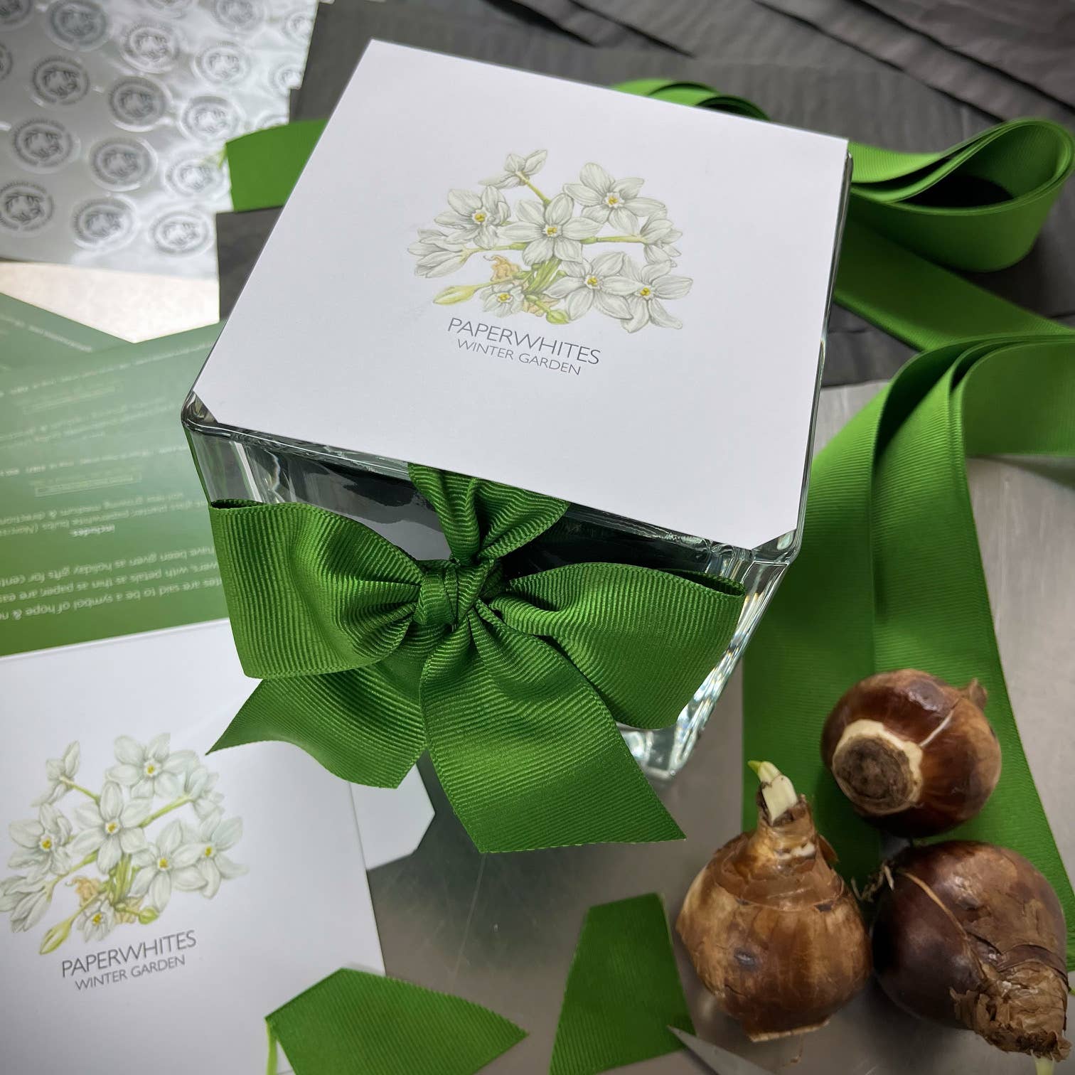 Paperwhites Winter Garden | Christmas gift | Best Seller