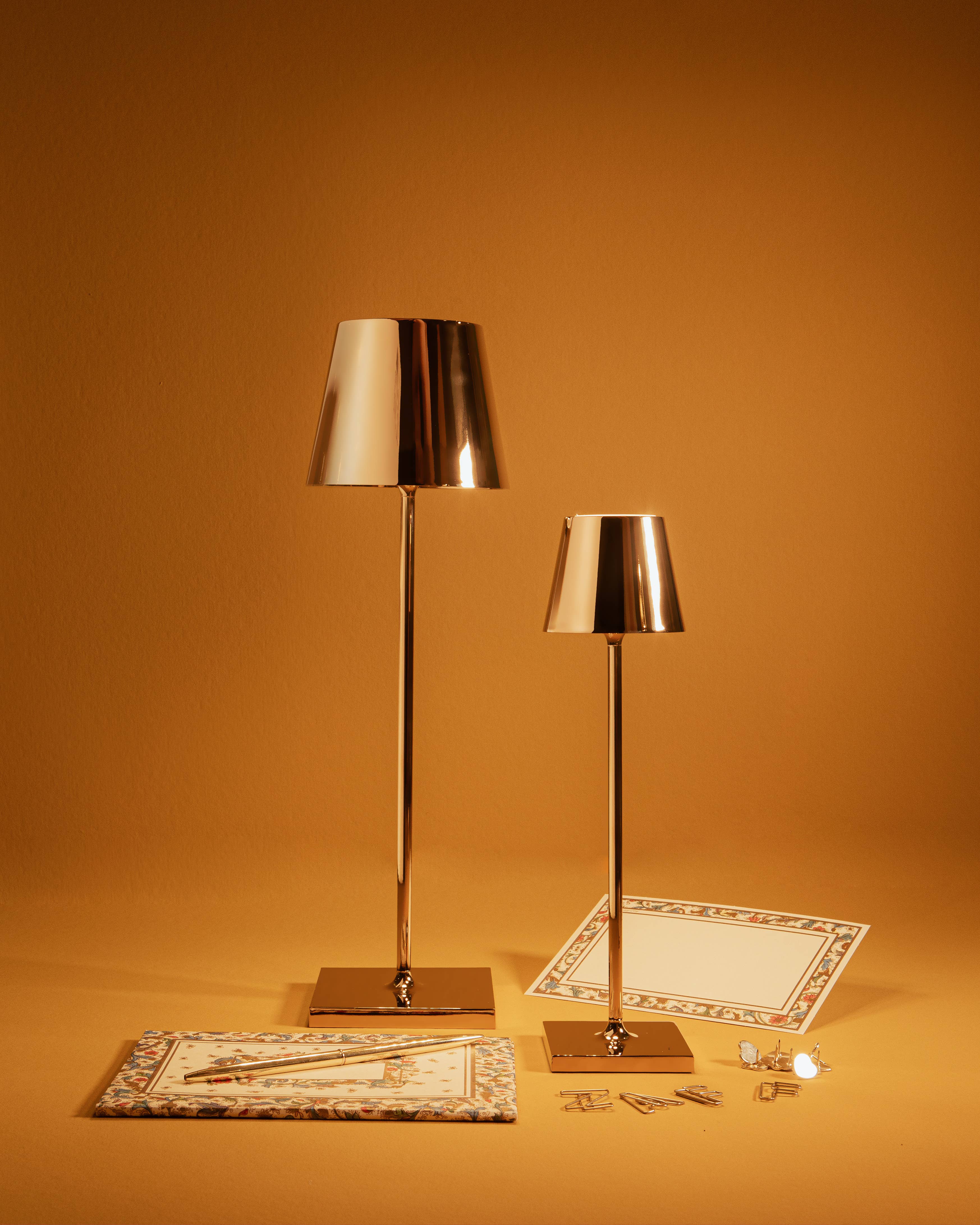 Poldina Pro Cordless Lamp