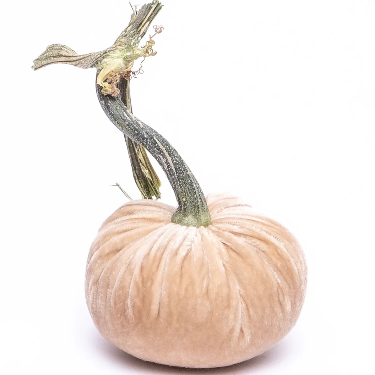 Velvet Pumpkins