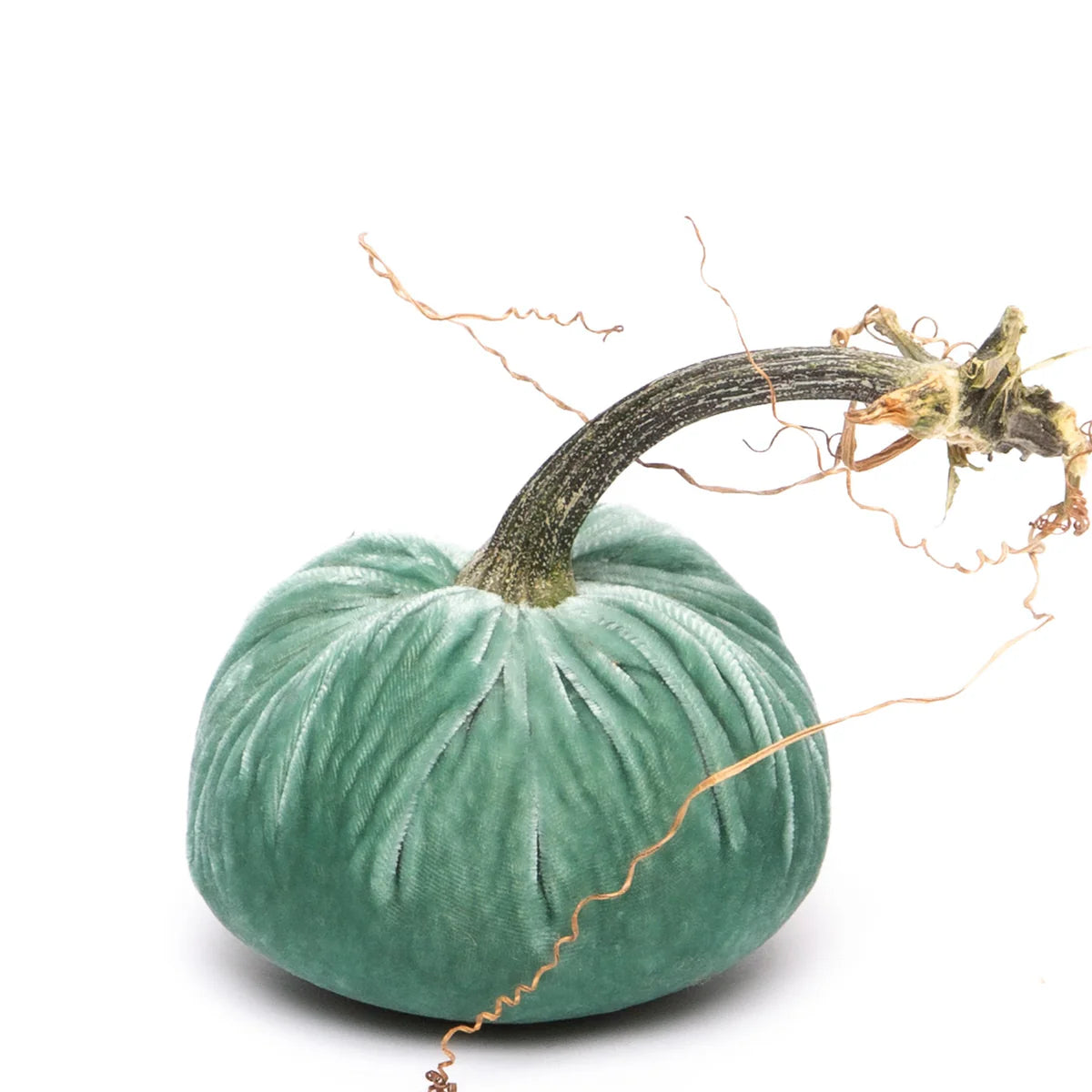Velvet Pumpkins
