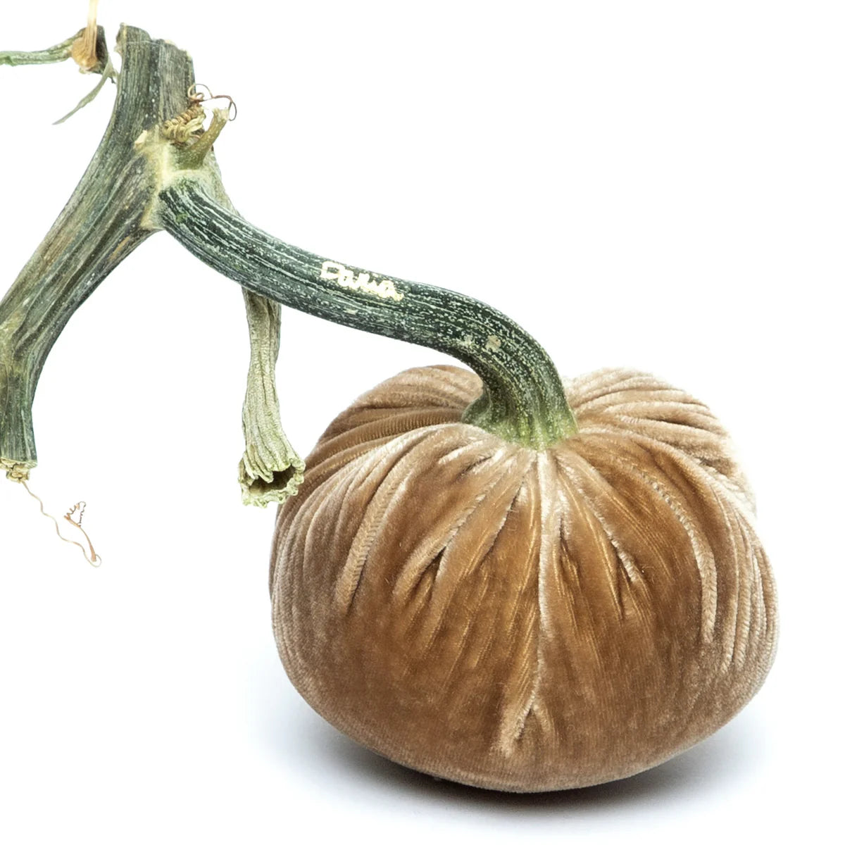 Velvet Pumpkins