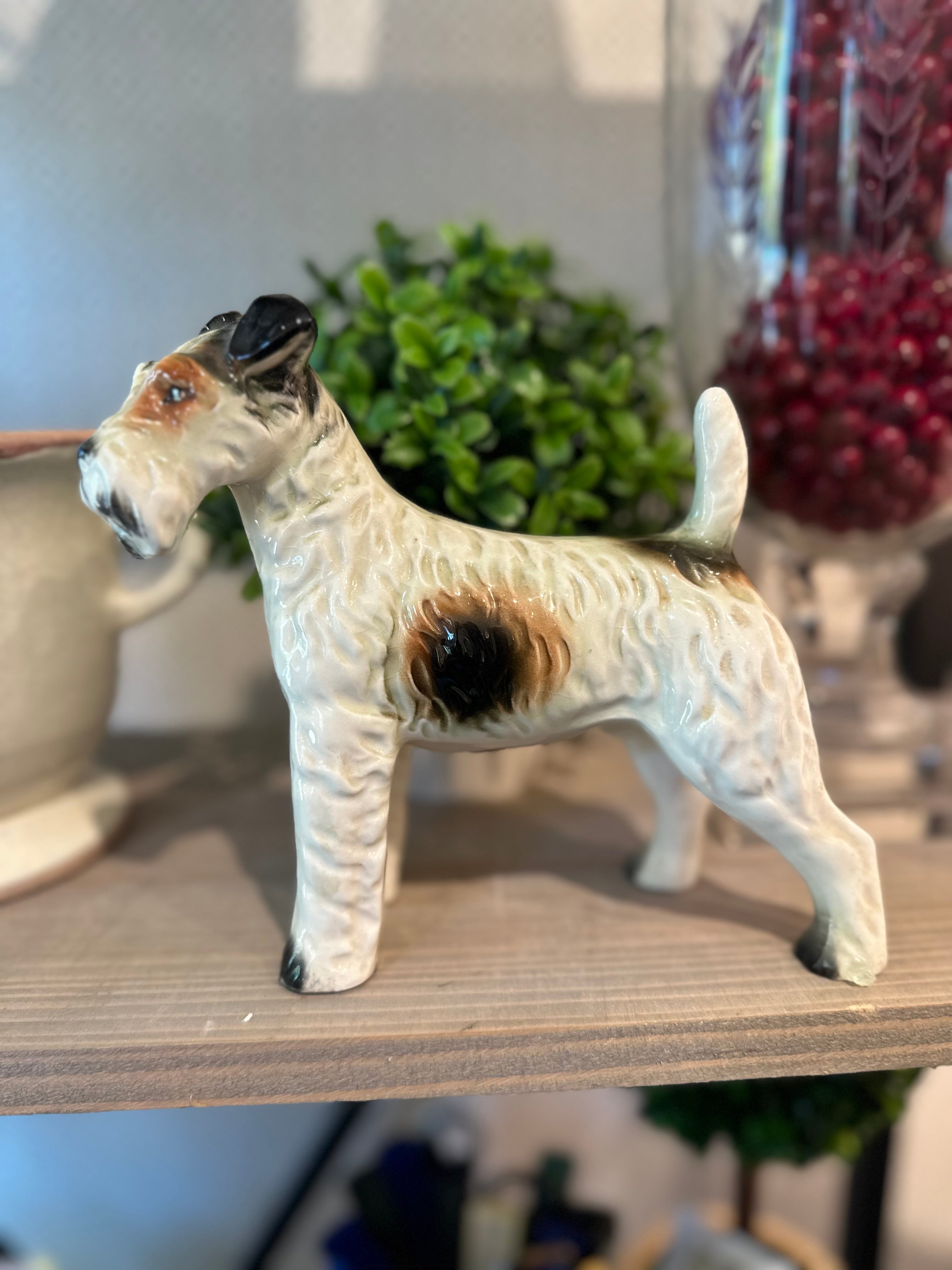 Large Terrier Dog