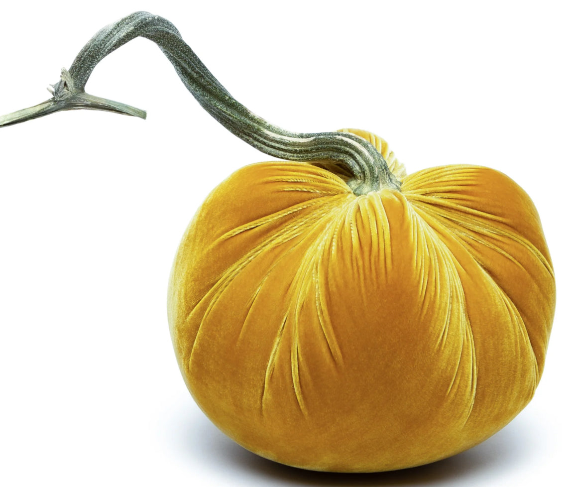 Velvet Pumpkins