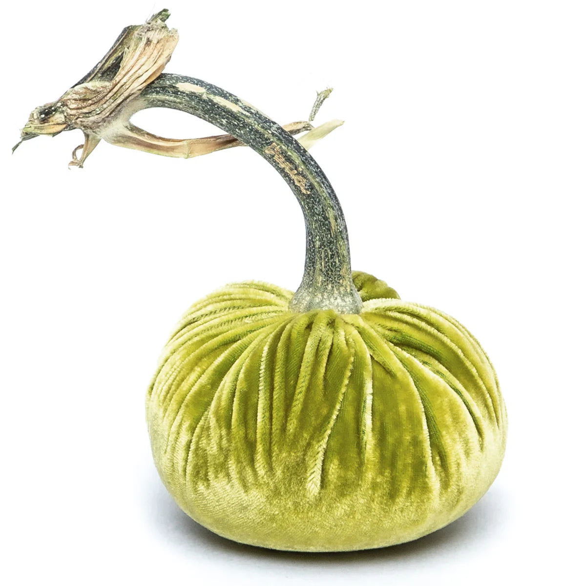 Velvet Pumpkins