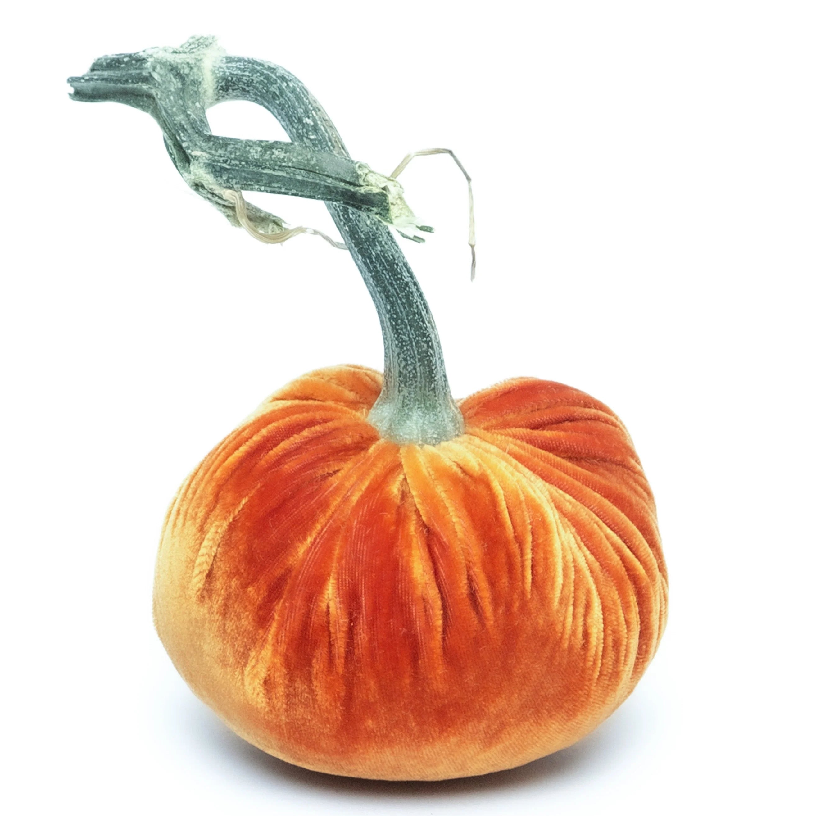 Velvet Pumpkins