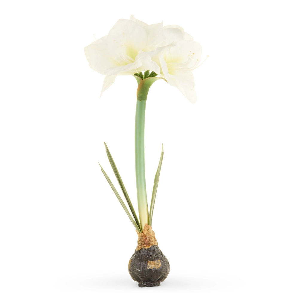 19" Real Touch Amaryllis Bulb