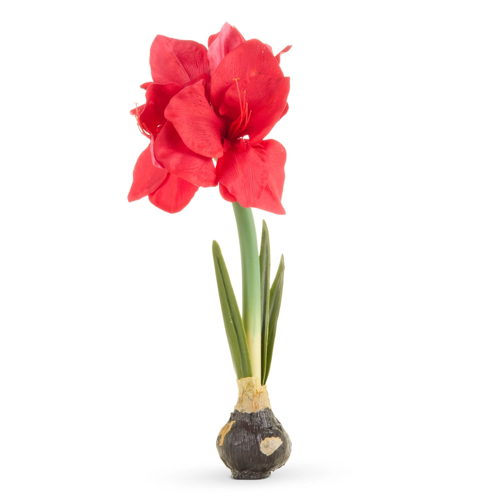 19" Real Touch Amaryllis Bulb