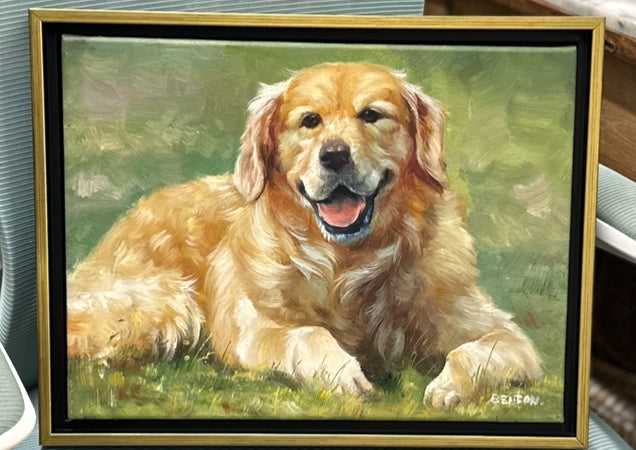 Harry the Golden Retriever 12x16