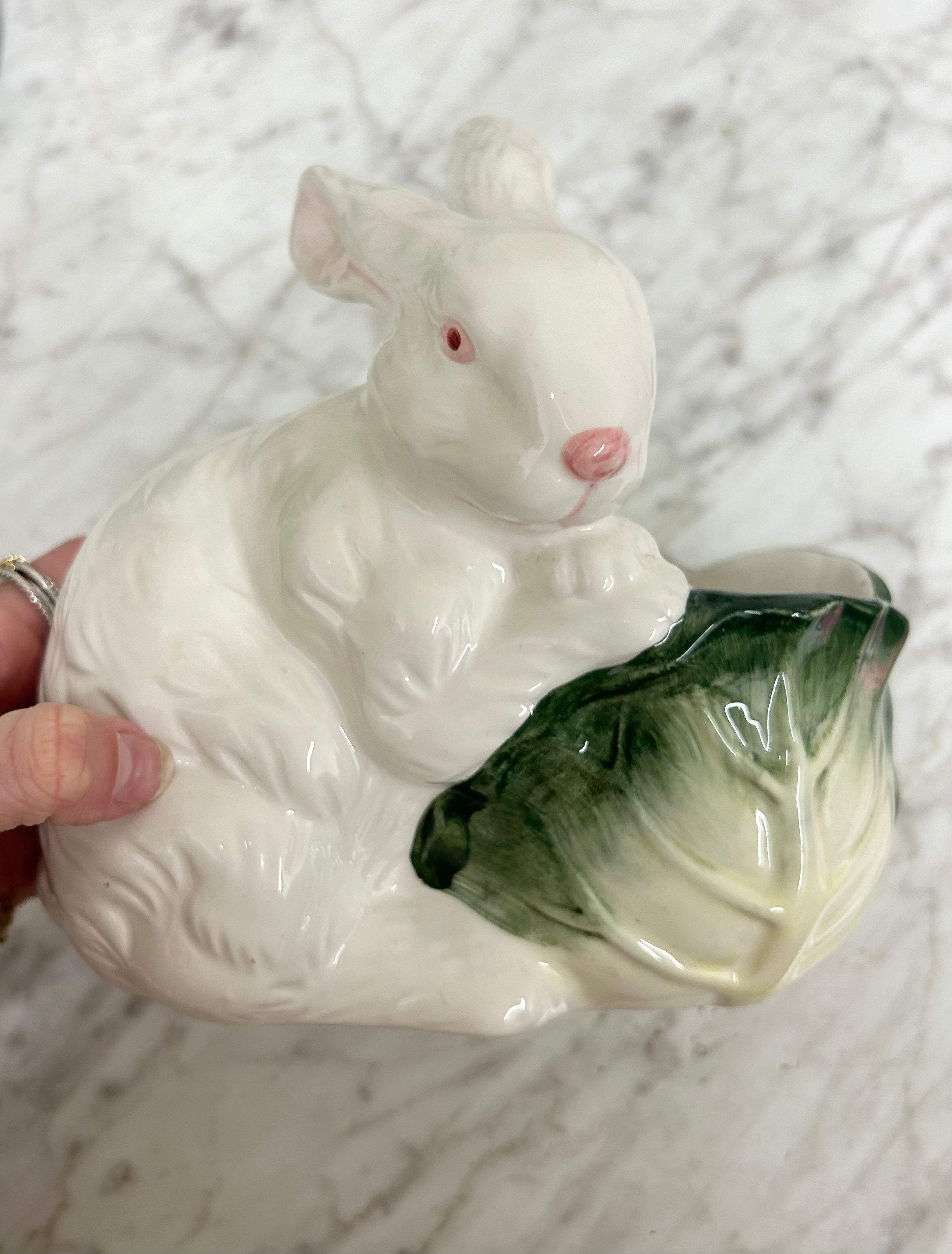 Bunny Cashepo