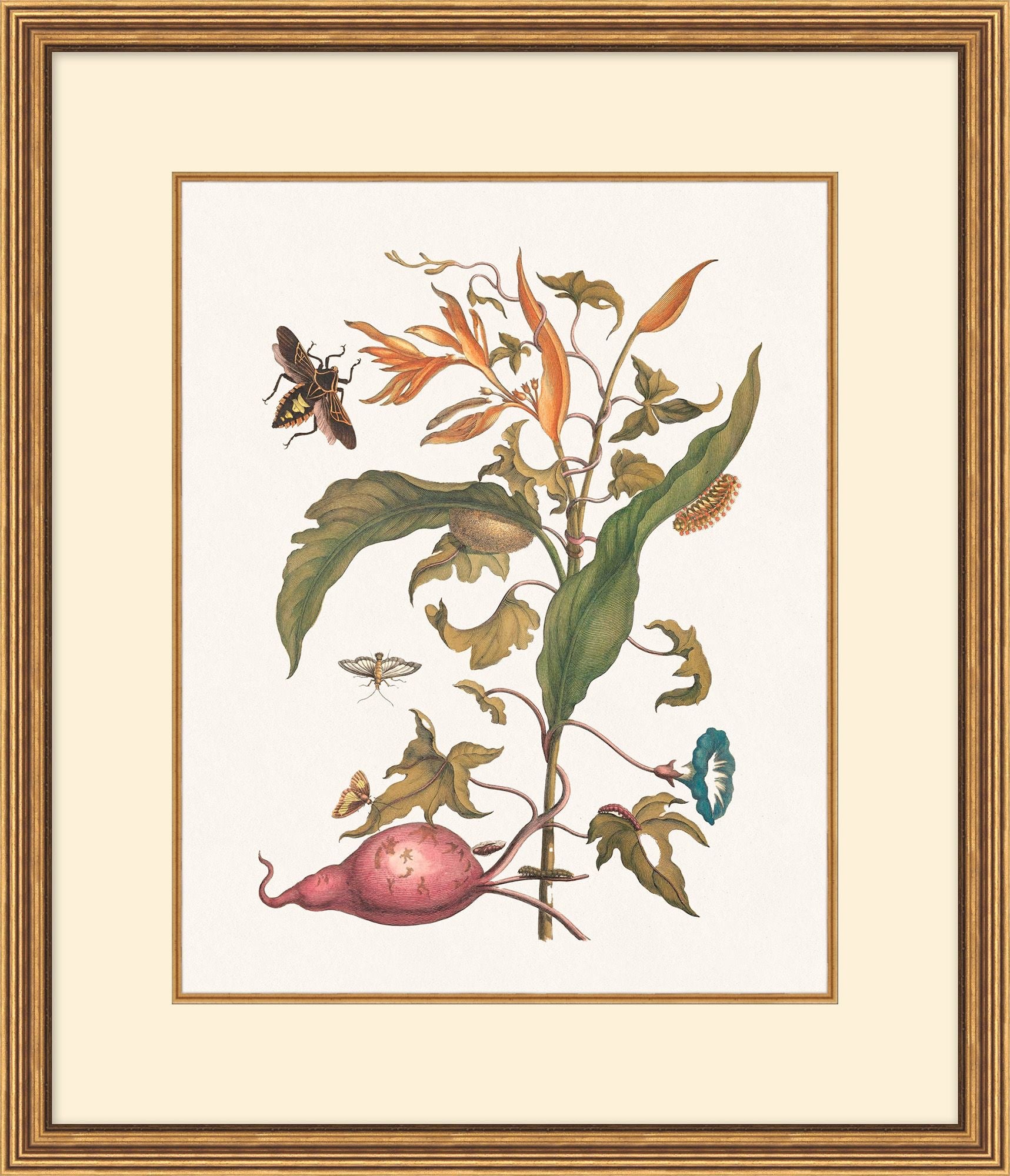 Growth State Botanical Collection