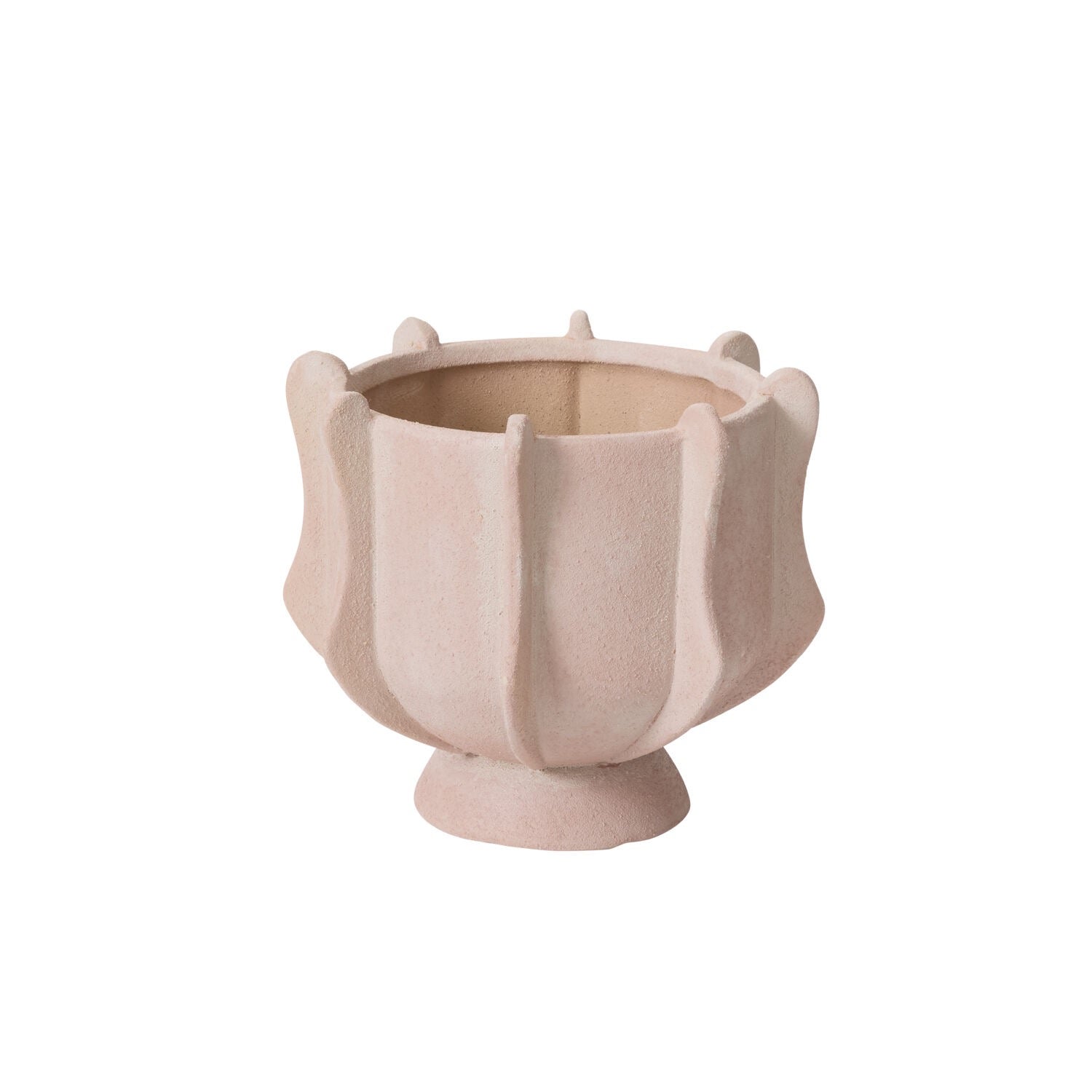 Claudia Compote