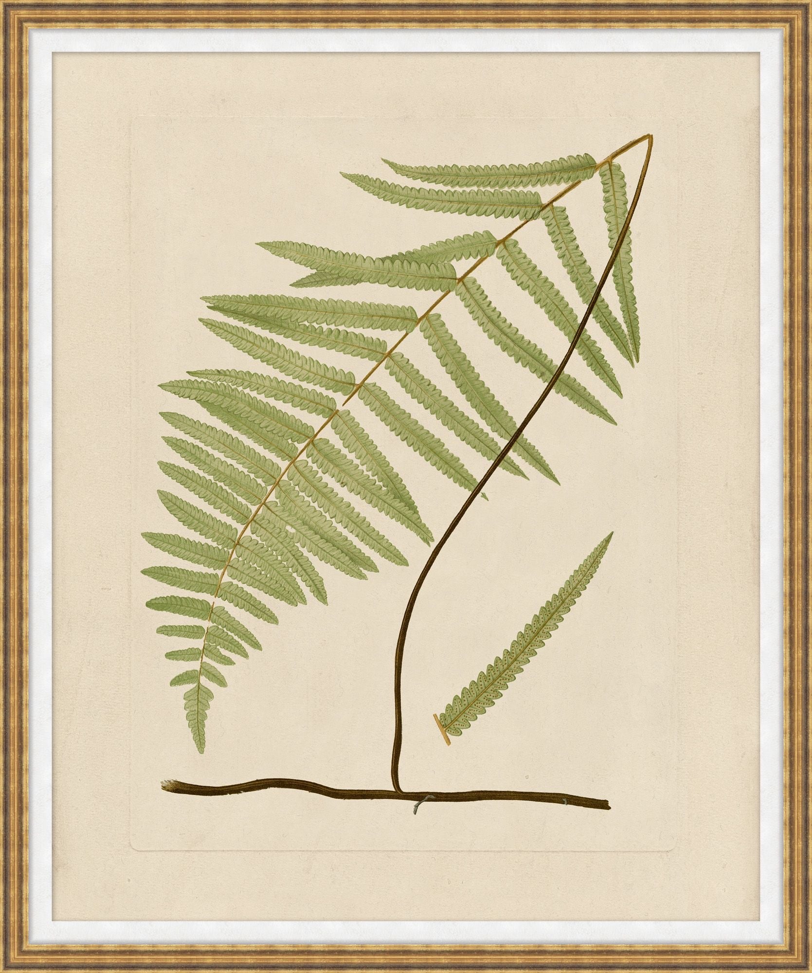 Verdant Form