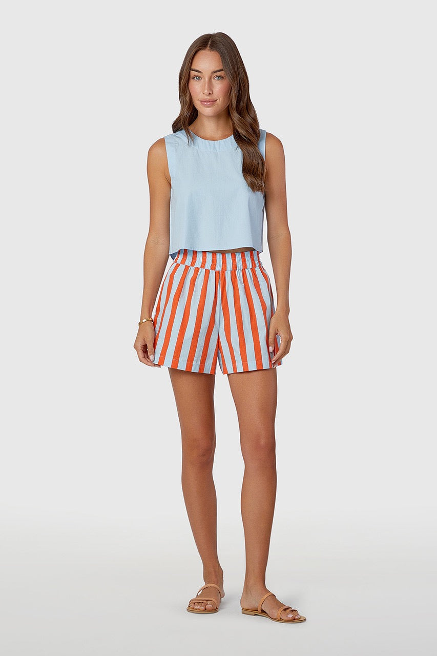 Pool Shorts Americana