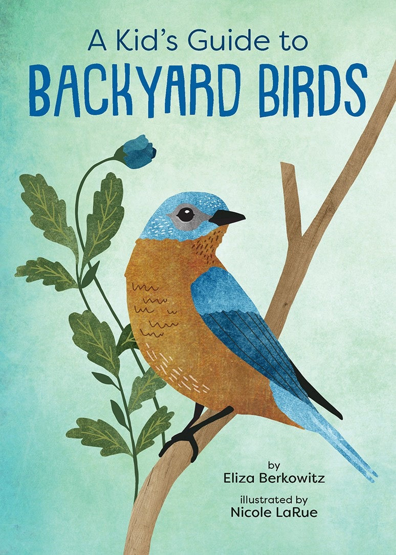 A Kid’s Guide To Backyard Birds
