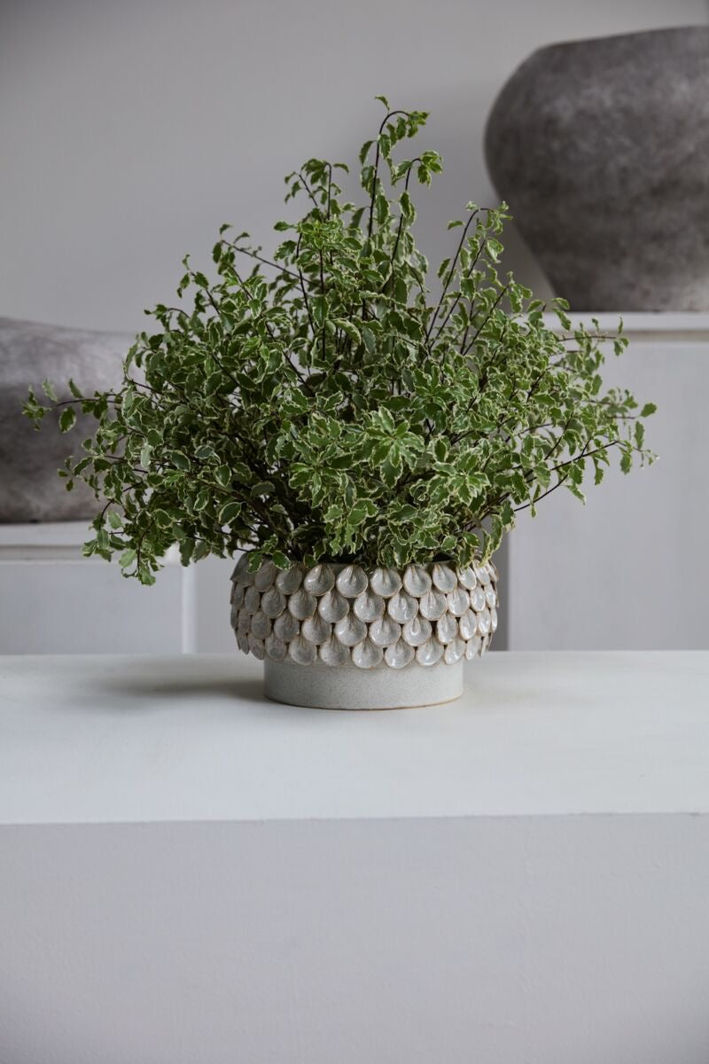 Mirabai Bowl