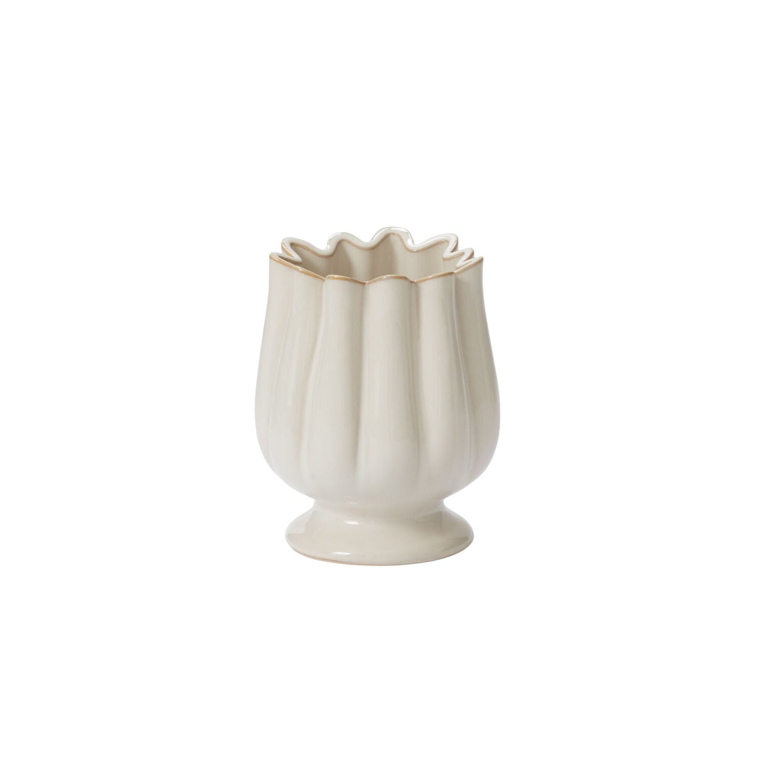 Tulipa Compote
