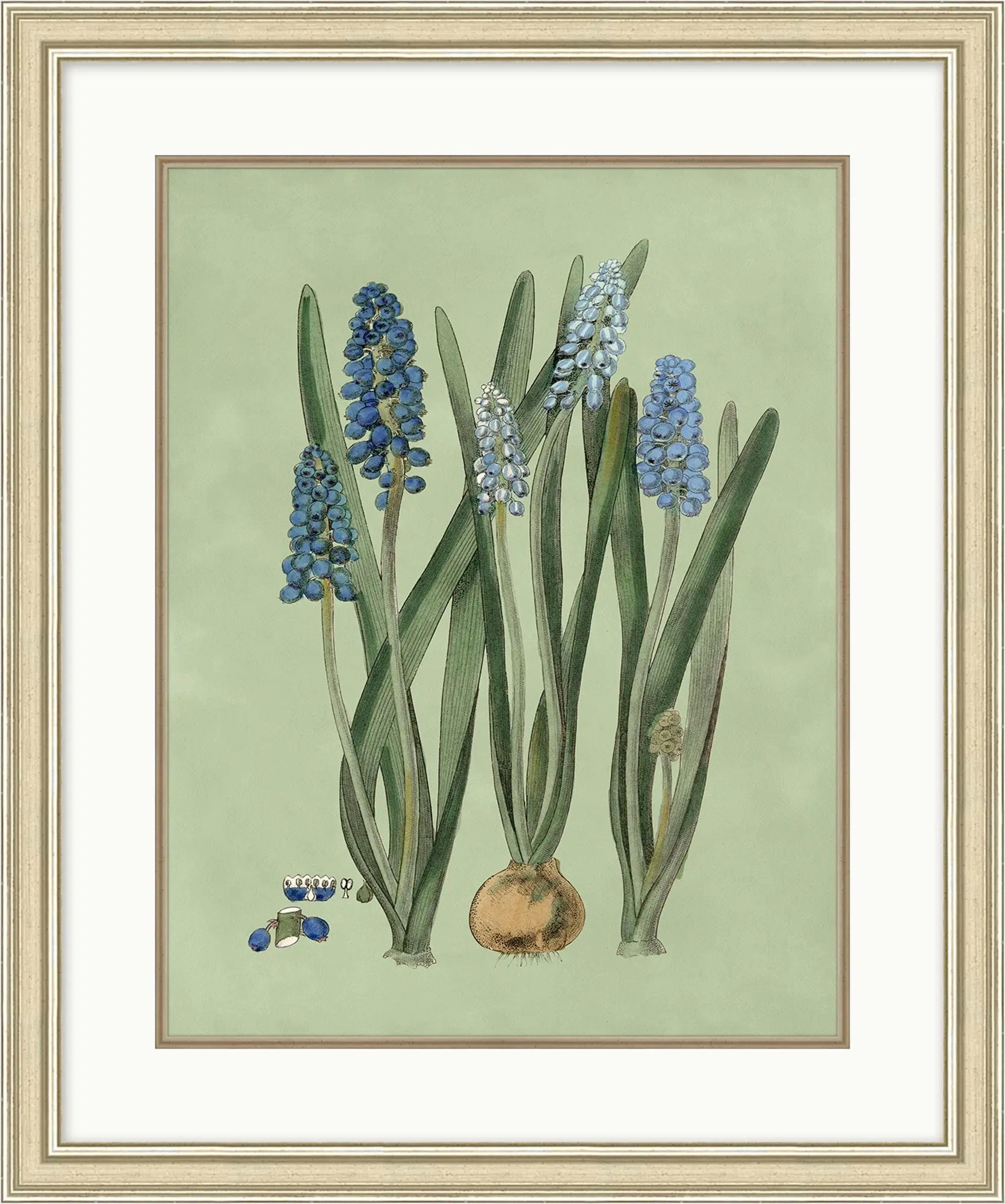 Sage and Blue Botanical