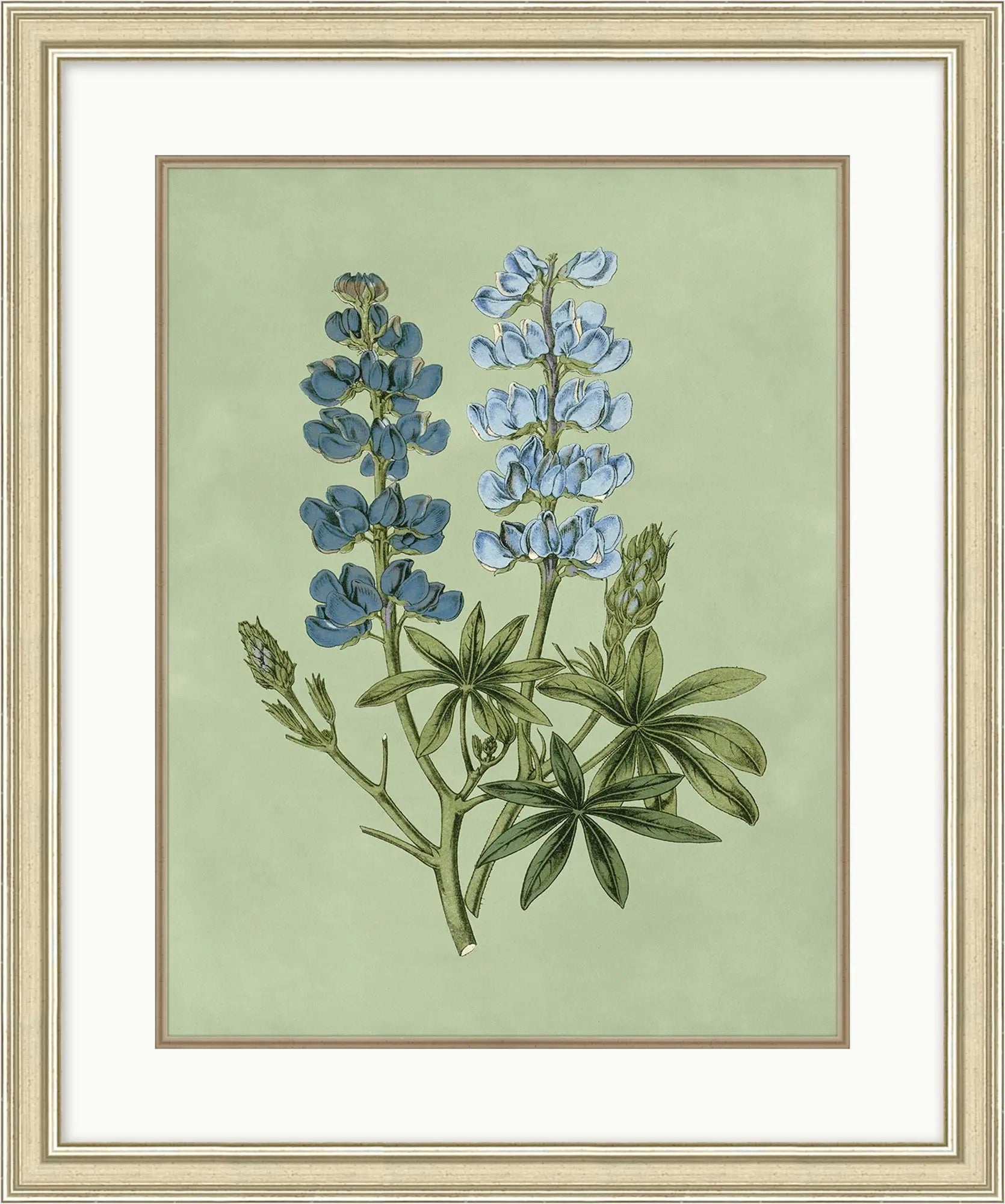 Sage and Blue Botanical