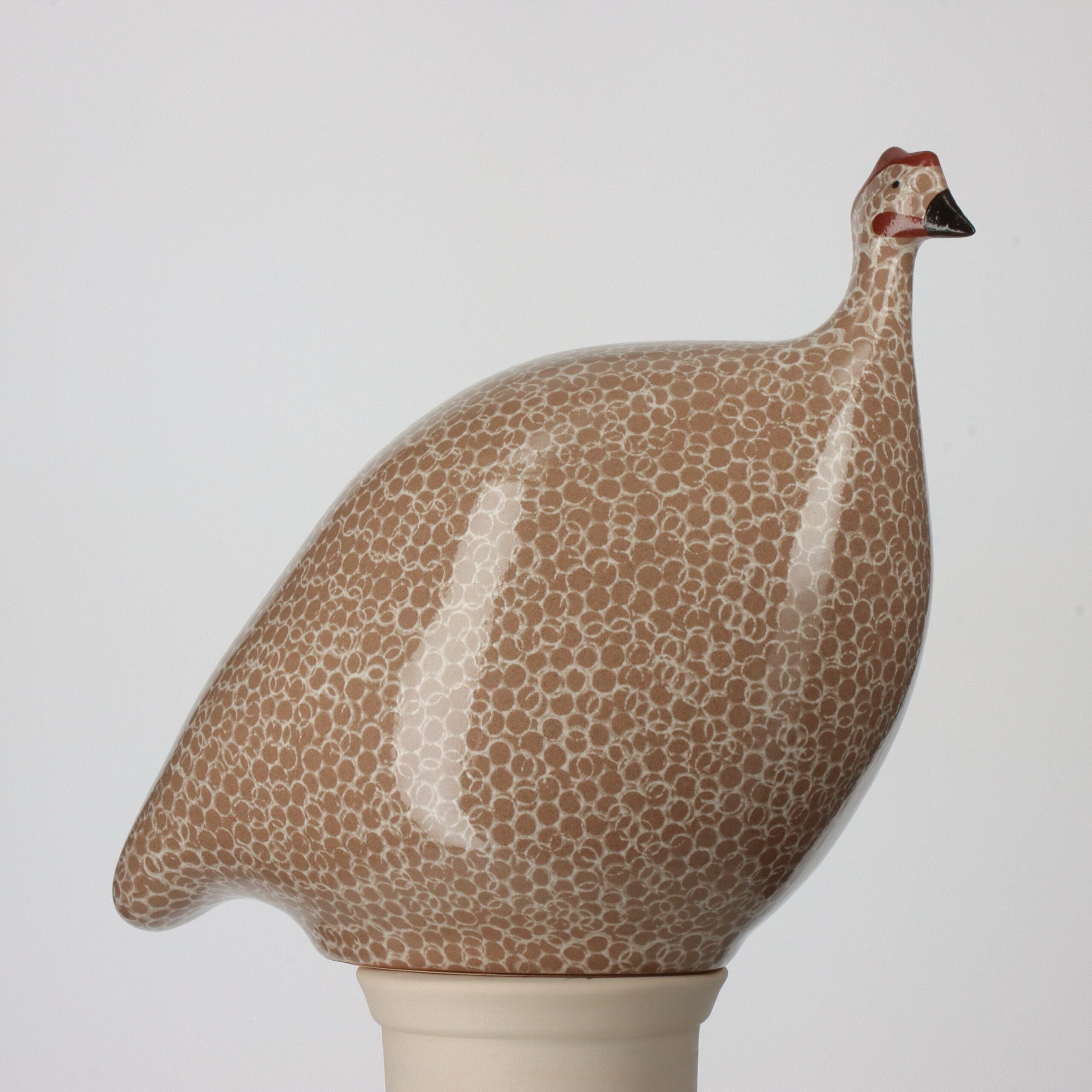 Medium Guinea Hen